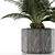 Exotic Palm Tree: House Plant 28 3D model small image 3