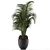 Exotic Palm Tree - Perfect Office Decor 3D model small image 1
