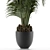 Exotic Palm Tree - Perfect Office Decor 3D model small image 3