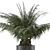 Tropical Palm Tree Decor 3D model small image 2