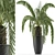 Exotic Palm Tree: House Plant 41 3D model small image 1