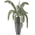 Exotic Palm Tree: House Plant 41 3D model small image 4