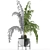 Exotic Palm: House Plant 42 3D model small image 3