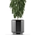 Exotic Palm Tree: Single Plant 02 3D model small image 2