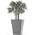 Exotic Plant: Single Banana Palm 3D model small image 4