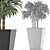 Exotic Plant: Single Banana Palm 3D model small image 5