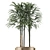 Exotic Palm Tree - Single Plant 10 3D model small image 3