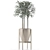 Exotic Palm Tree - Single Plant 10 3D model small image 4