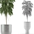 Tropical Elegance: Single Plant 11 3D model small image 5