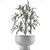 Exotic Palm Tree Pot - Single Plant 12 3D model small image 4