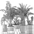 Exotic Palm Trees Collection 3D model small image 9