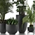 Exotic Plant Collection: Decorative Palm Trees, Office Flowers & More 3D model small image 2