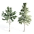 Evergreen 5 Needle Leaves Tree 3D model small image 3