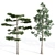 Evergreen 5 Needle Leaves Tree 3D model small image 4