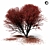 Elegant Maple Tree 8s 3D model small image 2