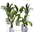 Tropical Plant Collection: Palm & Banana 3D model small image 1