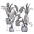 Tropical Plant Collection: Palm & Banana 3D model small image 5