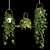 Lush Hanging Scindapsus Duo 3D model small image 5