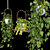 Lush Hanging Scindapsus Duo 3D model small image 8