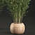 Exotic Bamboo Tree in Rattan Basket - Indoor Tropical Plant Collection 3D model small image 3