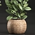Tropical Ficus in Wicker Basket 3D model small image 3