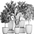 Exotic Indoor Plant Collection 3D model small image 5