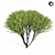 Tall Maple Tree 9S 3D model small image 4