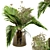 Tropical Banana Palm Bouquet Set 3D model small image 1