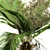 Tropical Banana Palm Bouquet Set 3D model small image 3