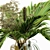 Tropical Banana Palm Bouquet Set 3D model small image 4