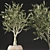 Exotic Olive Tree in Wicker Basket 3D model small image 2