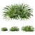 Versatile Liriope Grass: Dimensional, Render-Ready! 3D model small image 1