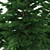 Realistic Fir-tree Set 3D model small image 4