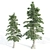 Tall and Sturdy Pines, 7-12m 3D model small image 3