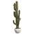 Desert Oasis Cactus Pot 3D model small image 1