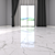 Glacier White Marble Floor: Museum Collection 3D model small image 2
