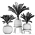 Tropical Palm Collection: Exotic Indoor Plants 3D model small image 5