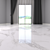 TORANO Bianco Marble Floor: Museum Collection 3D model small image 2