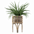 Indoor Fern Plant: High-quality 3D Model 3D model small image 2