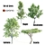 Tall Tree Set: 9m-14m 3D model small image 1