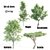 Tall Tree Set: 9m-14m Height 3D model small image 1