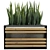 Concrete Textured Sansevieria Planter 3D model small image 4