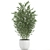 Exotic Bamboo Plant Collection 3D model small image 3