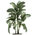 Exotic Dieffenbachia Plant in White Vase 3D model small image 2