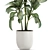 Exotic Dieffenbachia Plant in White Vase 3D model small image 4