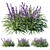 Liriope_02: High-Quality 3D Model 3D model small image 1