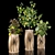 Tropical Plant Set: Croton, Ficus, Limon 3D model small image 2