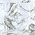 Elegant Marble Wall Tiles: Macchia Vecchia Collection 3D model small image 1