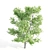 Tall Linden Trees - 9.35m, 9.8m, 10m 3D model small image 3