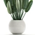 Exotic Plant Collection in White Vase 3D model small image 2
